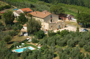 Agriturismo L'Olmo San Gimignano
